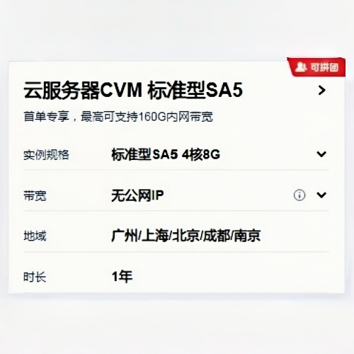云服务器CVM 蜂驰型
